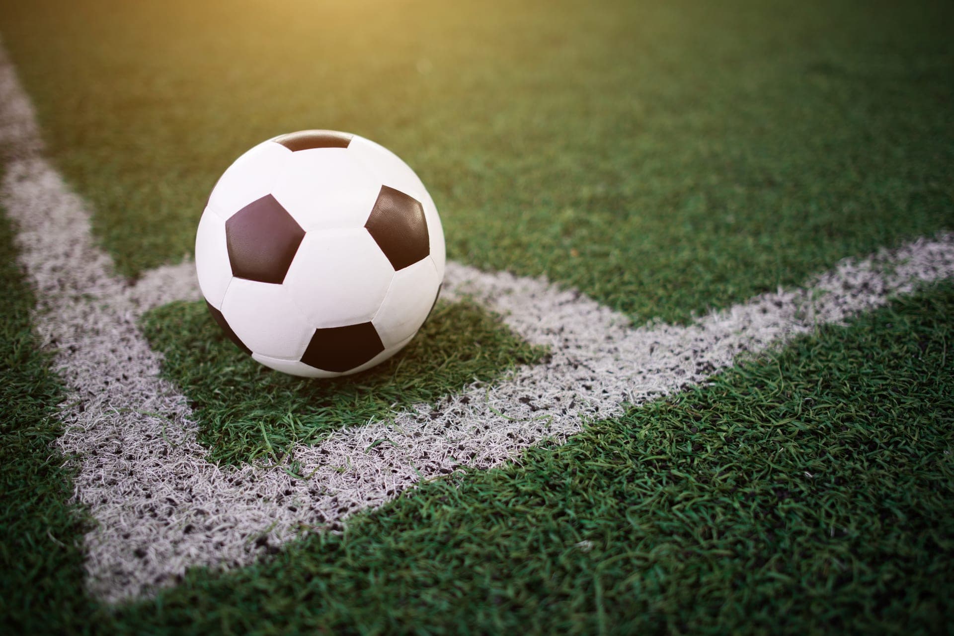 Autoridades acendem alerta sobre doença que pode ser disseminada com a Copa do Mundo 