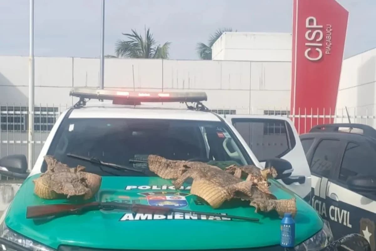 Polícia apreende espingarda e peles de três jacarés durante operação em Alagoas