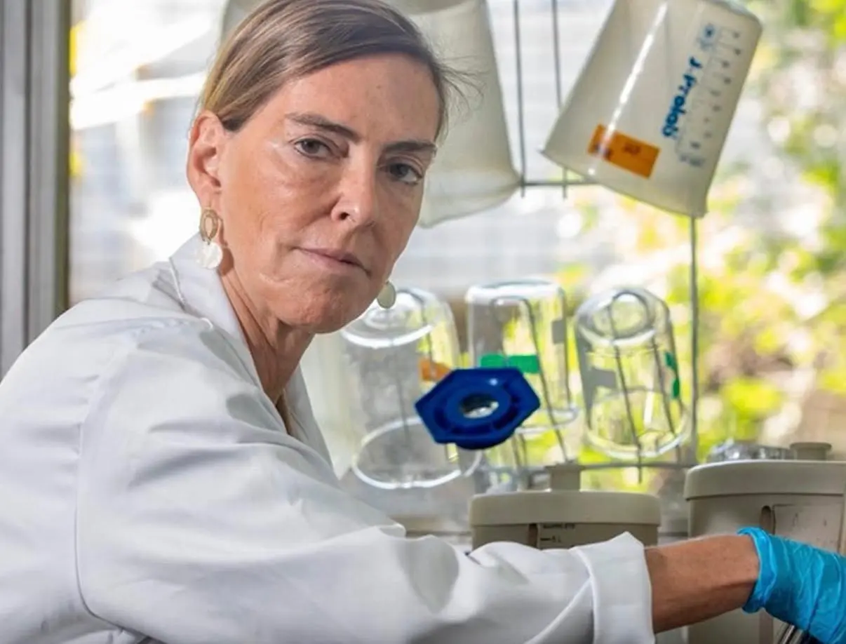 Dra. Tatiana Sampaio afirma que Brasil perdeu patente internacional da polilaminina
